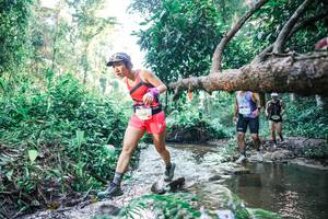 BIB: 
                            <button type="button" onclick="openModal(25433089)" class="btn btn-primary btn-sm float-right btn-popup" data-toggle="modal" data-target=".modal-high-quality">
                        <i class="fas fa-shopping-cart"></i> Add to Cart
                    </button>
                                            <button type="button" onclick="isThisMe(25433089, true)" class="btn btn-success btn-sm float-right btn-popup btn-isme hidden" data-toggle="tooltip" data-placement="bottom" title="นี่คือรูปของคุณใช่ไหม คลิกที่นี่เพื่อเอาเข้าอัลบั้ม">
                        <i class="fas fa-plus"></i> Add to album
                    </button>
                    <button type="button" onclick="isThisMe(25433089, false)" class="btn btn-warning btn-sm float-right btn-popup btn-isnotme hidden">
                        <i class="fas fa-ban"></i> Remove from album
                    </button>